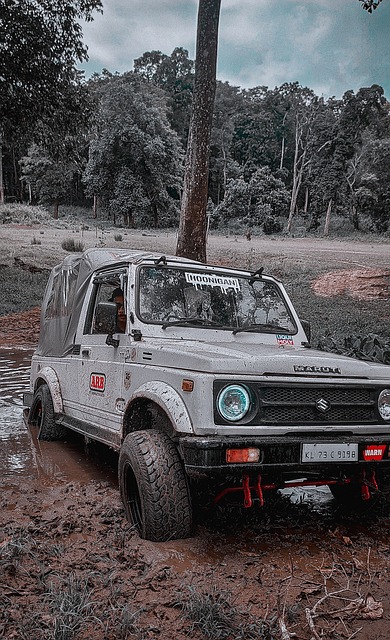 都以其独特 都以其独特