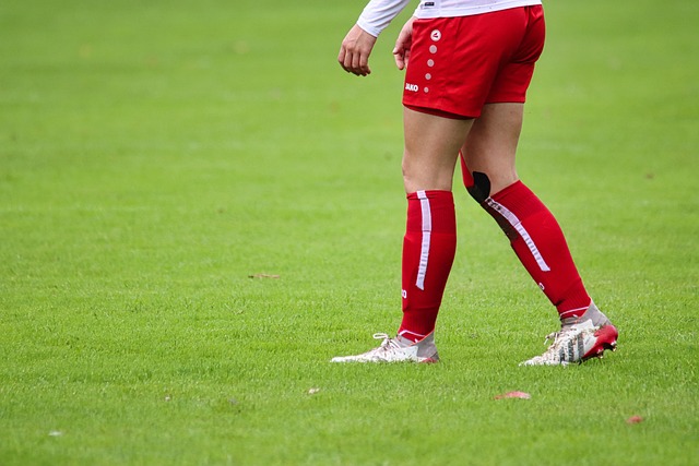 而布兰特的 而布兰特的