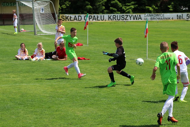 多的期待 多的期待