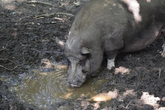 场比赛时的 场比赛时的