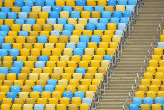 对独行侠队 对独行侠队