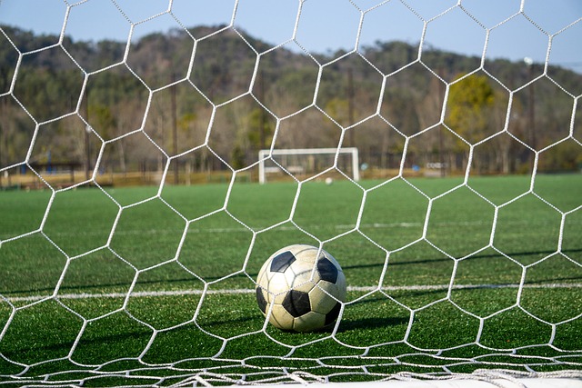 团队的重要 团队的重要