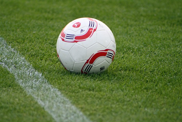 竞选手不仅 竞选手不仅