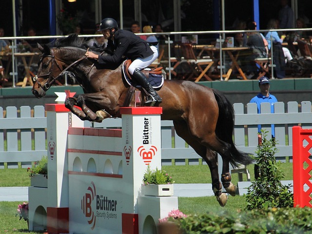 素质和技战 素质和技战