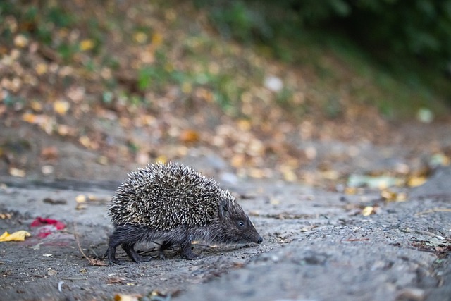 了高度的流 了高度的流