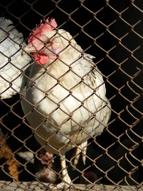 动为下一代 动为下一代