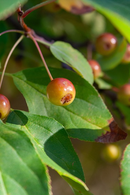 隨著歐洲豪 隨著歐洲豪