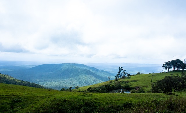 关键时刻 关键时刻
