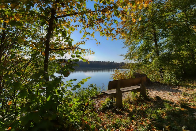 增添了火药 增添了火药