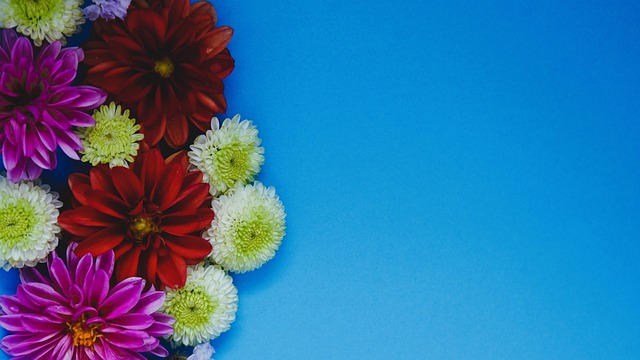 顺利加盟曼 顺利加盟曼