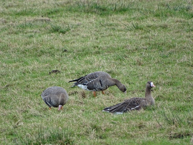 令人担忧的 令人担忧的